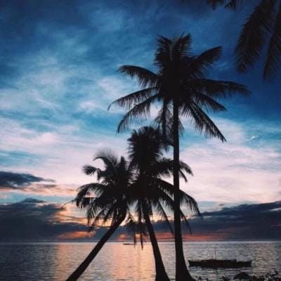 صنم سعید avatar