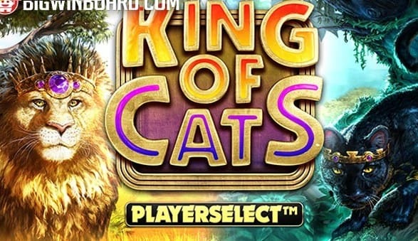 King of Cats Megaways